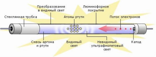 Принцип работы и строения люминесцентной лампы